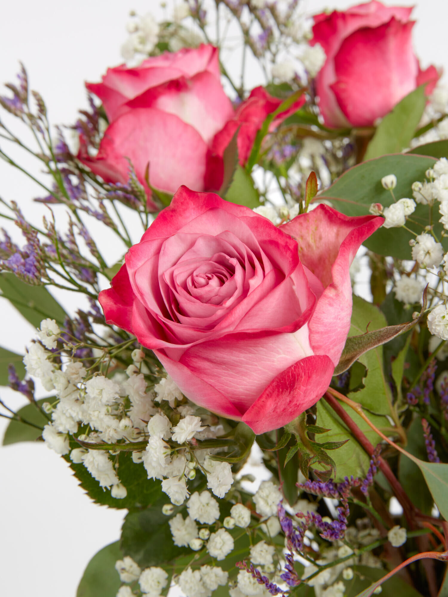 Blossom Dreams - Hauptblüte: Rosen - Hauptfarbe: Rosa, Violett, Weiß