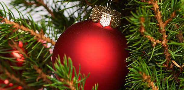 Tannengrün und rote Weihnachtskugeln