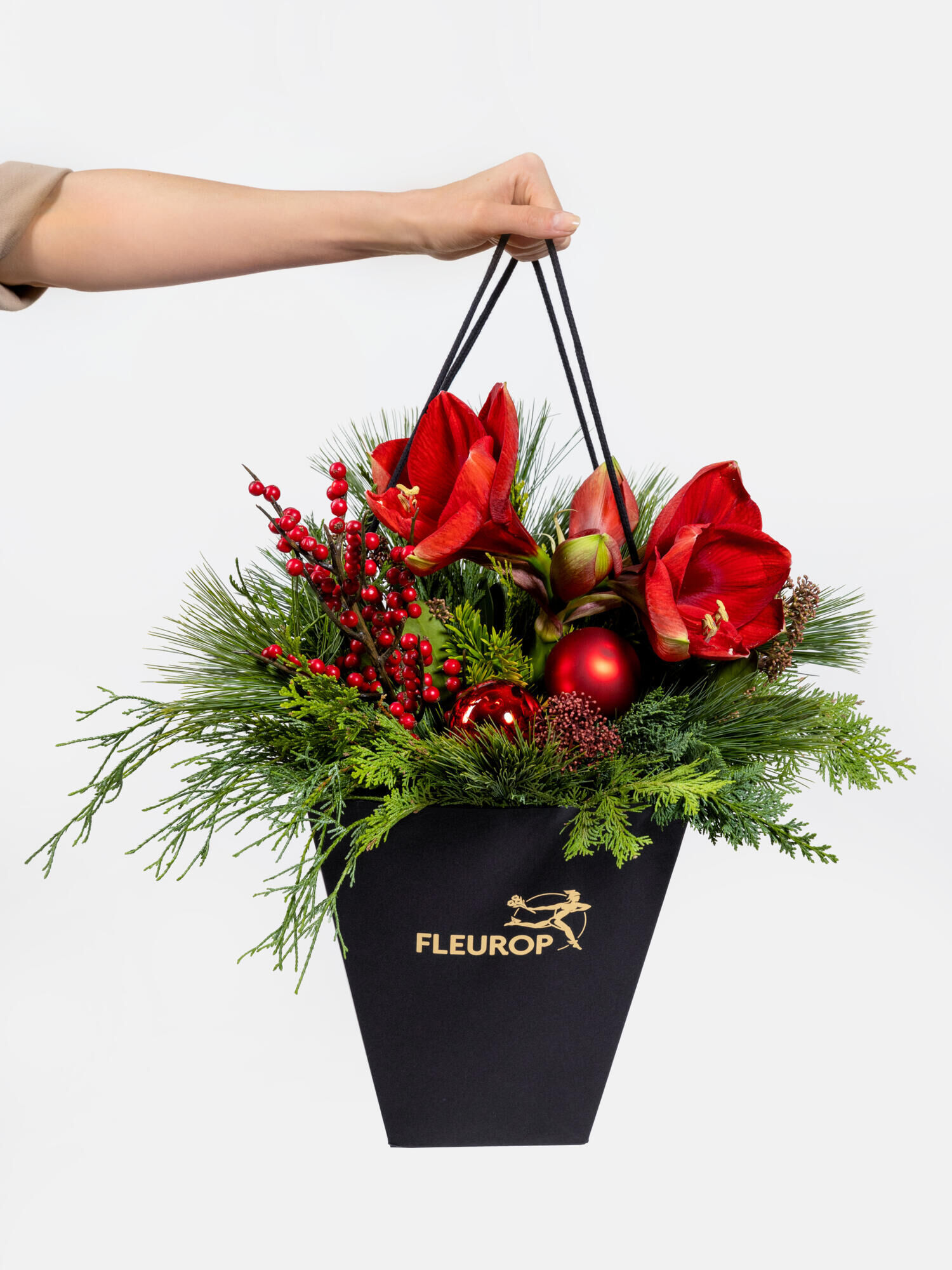 Winter Botschaft - Hauptblüte: Amaryllis - Hauptfarbe: Rot