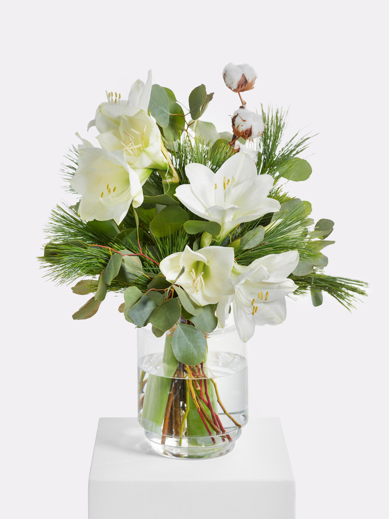 Magic White Magic White - Main Colors: WHITE - Main Flowers: AMARYLLIS