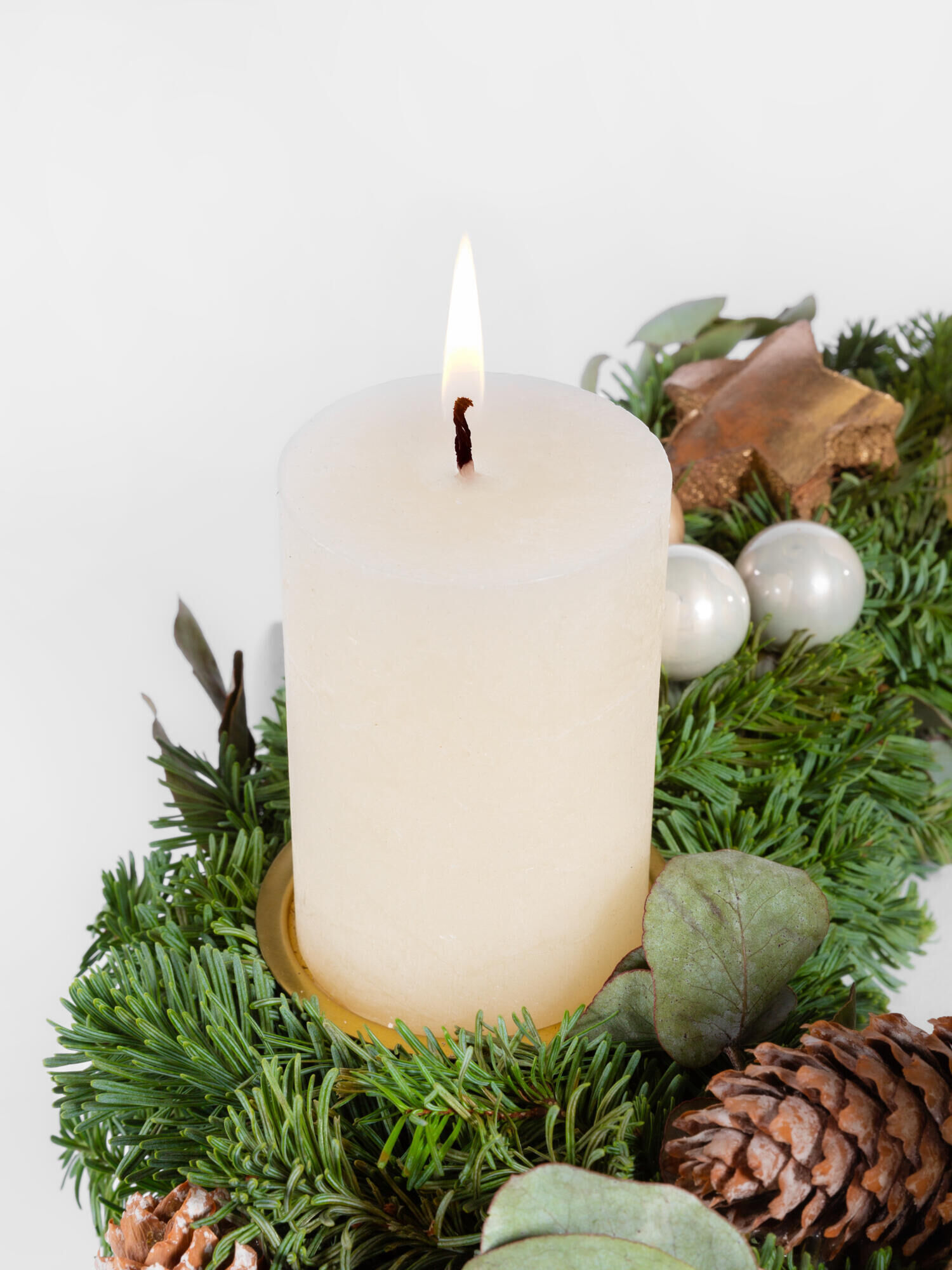 Golden Starlights - Main Colors: WHITE