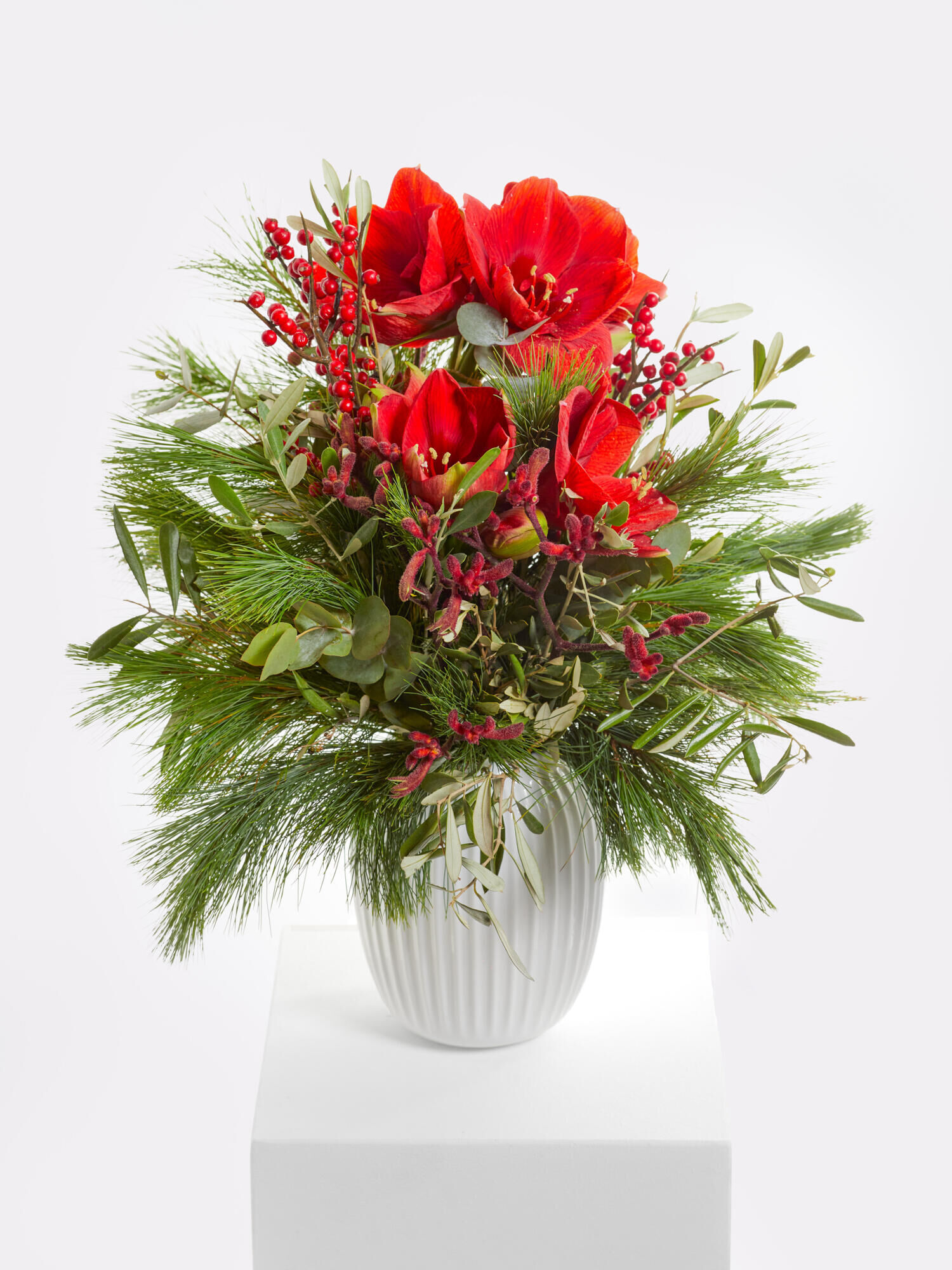 Feierliche Vorfreude Feierliche Vorfreude - Hauptblüte: Amaryllis - Hauptfarbe: Rot