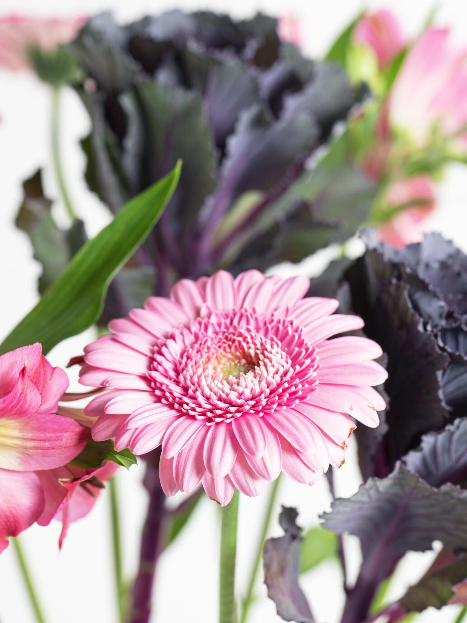 Wild Romance - Main Colors: GREEN, PINK, ROSE - Main Flowers: ALSTROEMERIA, GERBERA