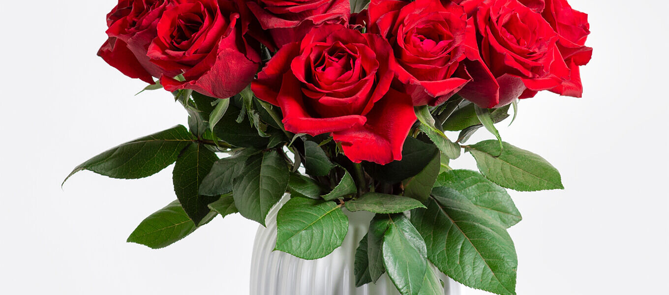 Roter Rosenstrauß in Vase als Geschenk für den Hochzeitstag