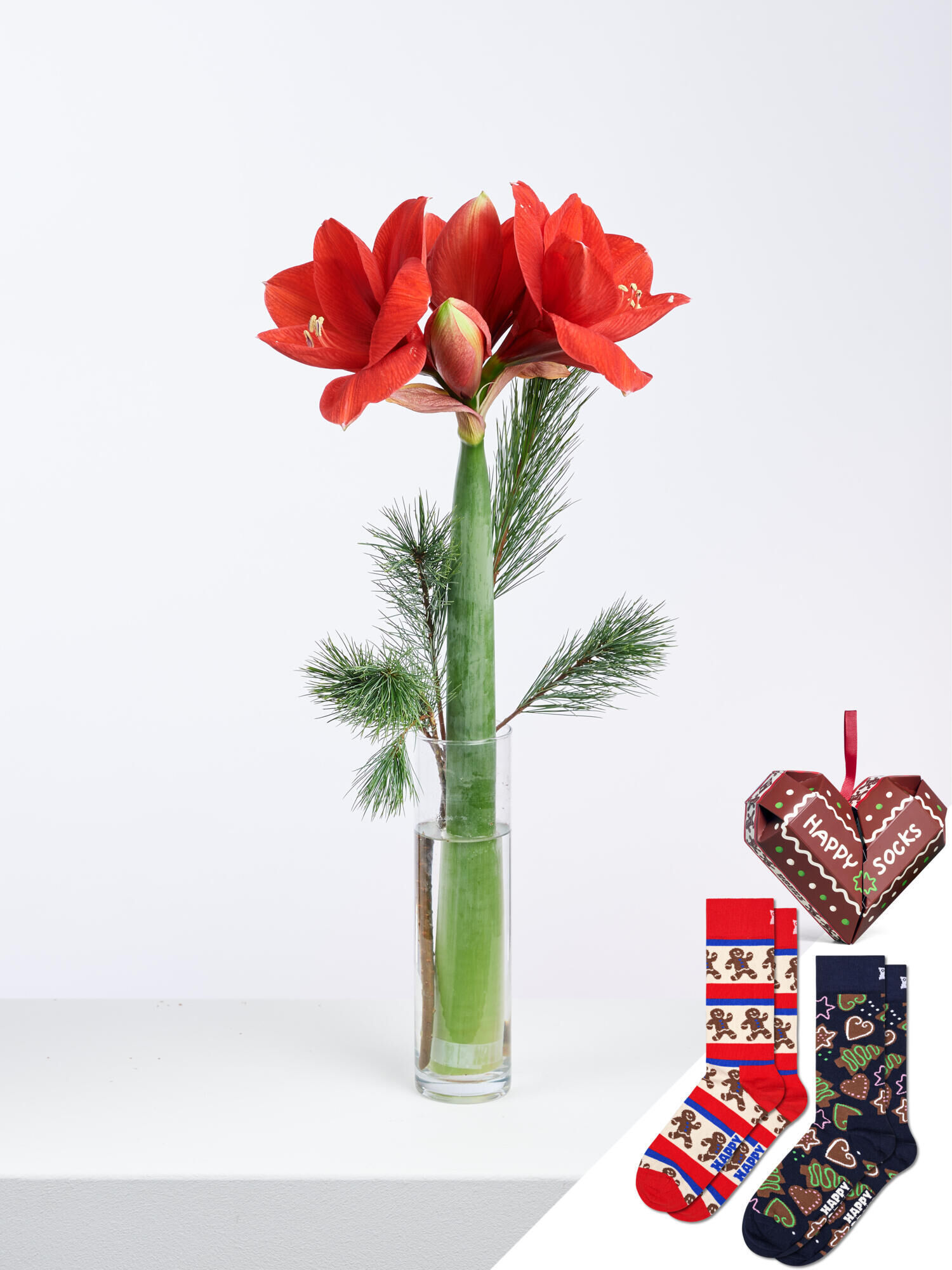 Happy Santa (Größe M) - Hauptblüte: Amaryllis - Hauptfarbe: Rot