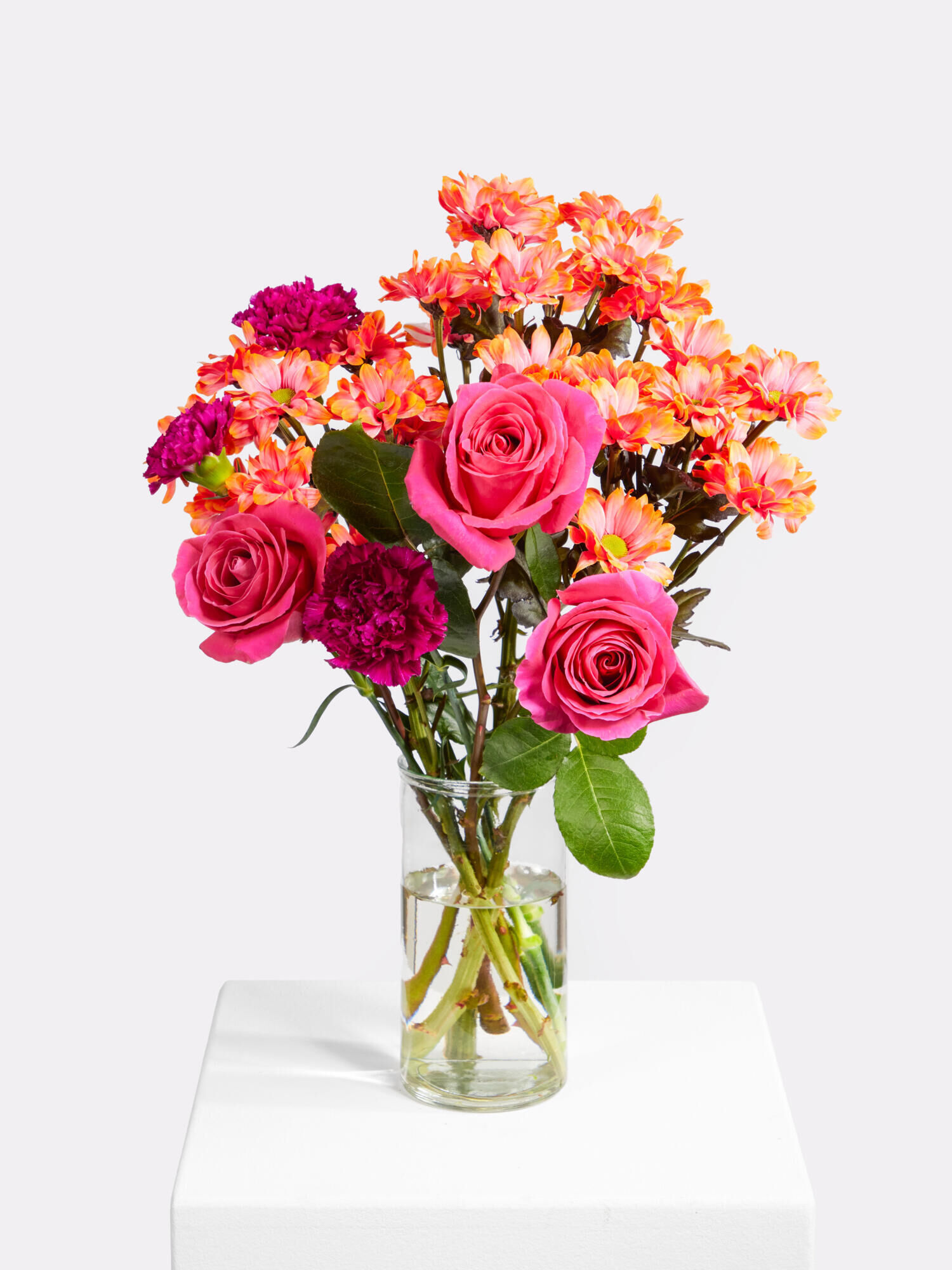 Colours of India - Hauptblüte: Chrysanthemen, Nelken, Rosen - Hauptfarbe: Orange, Pink, Violett