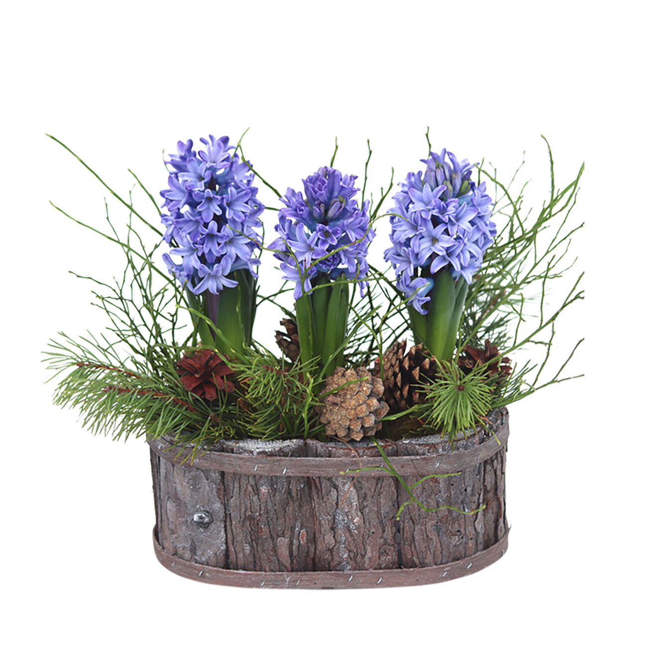 Fragrance of the atmosphere, blue