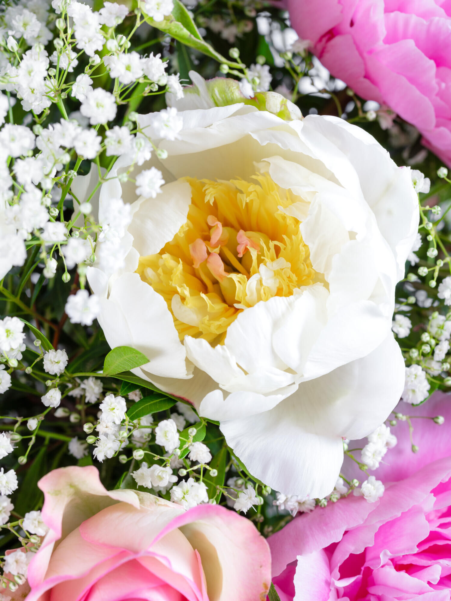 Strauß der Woche - Hauptblüte: Pfingstrosen, Rosen - Hauptfarbe: Pink, Rosa, Weiß