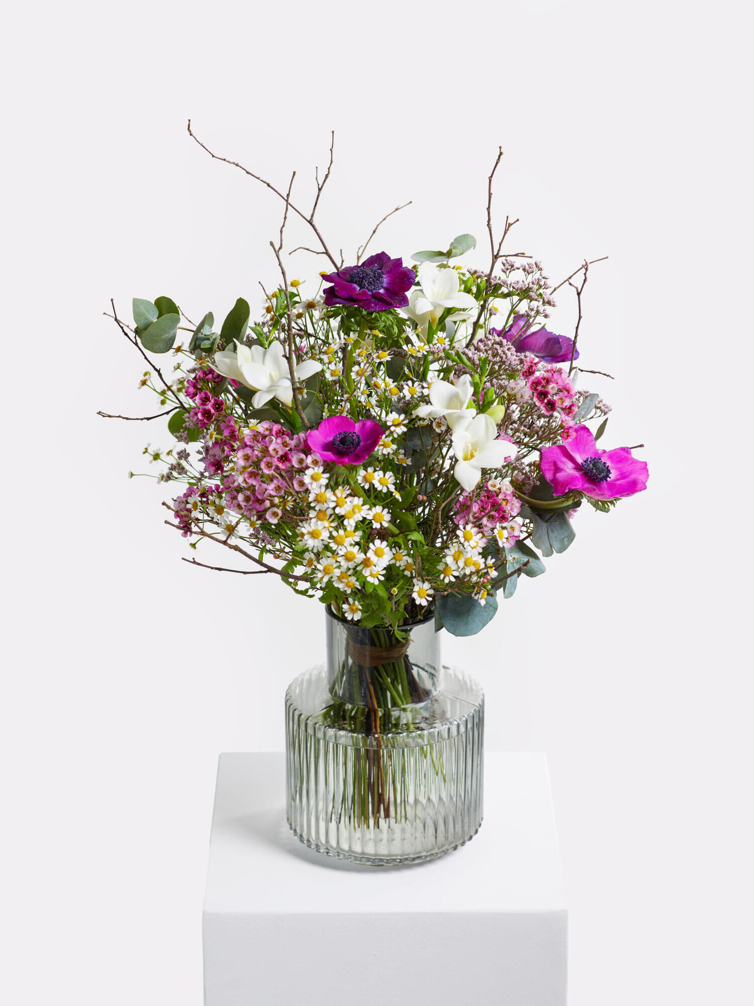 Erster Frühlingsmorgen - Hauptblüte: Freesien - Hauptfarbe: Pink, Violett, Weiß