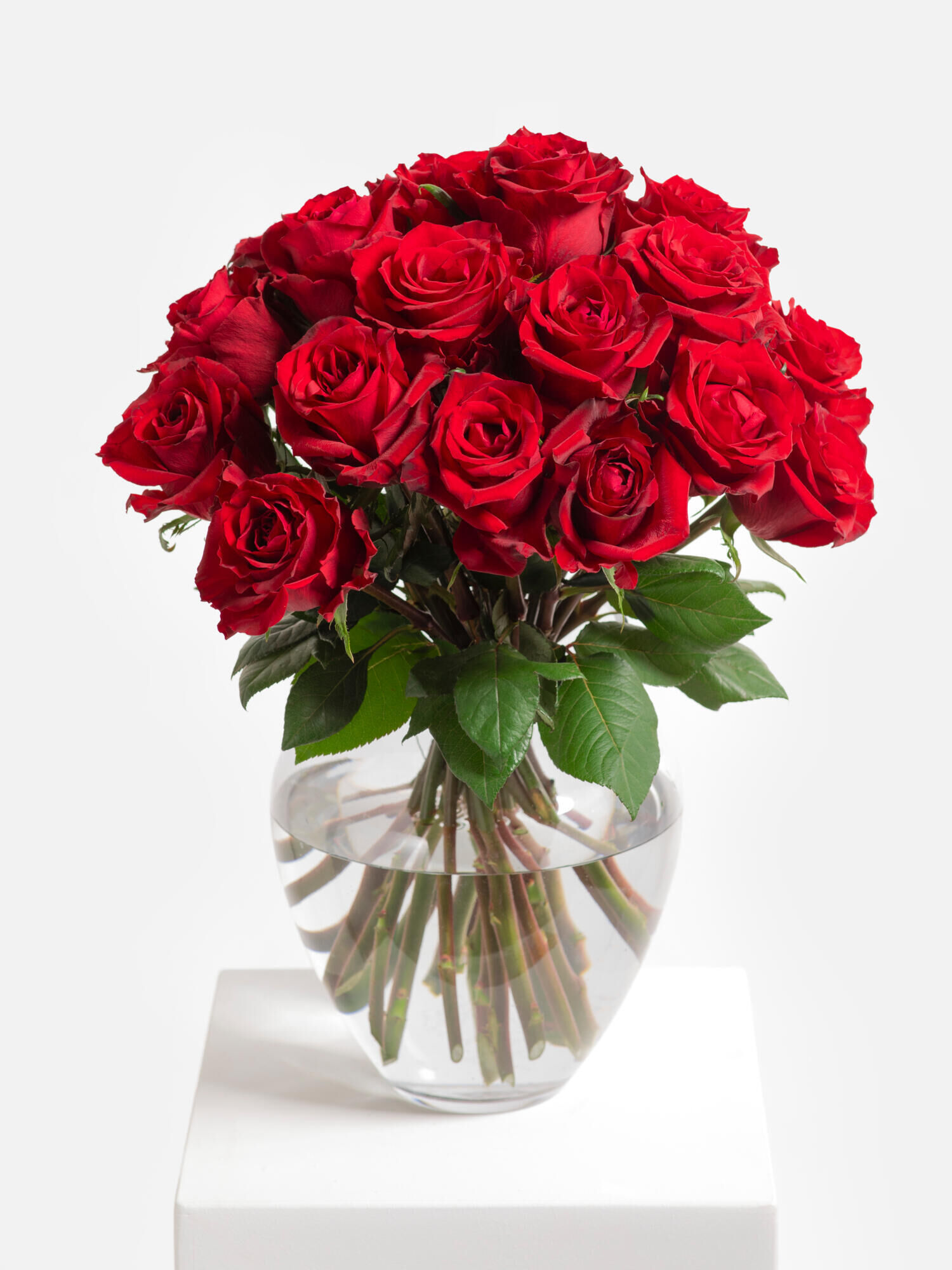 Rosenmeer - Hauptblüte: Rosen - Hauptfarbe: Rot