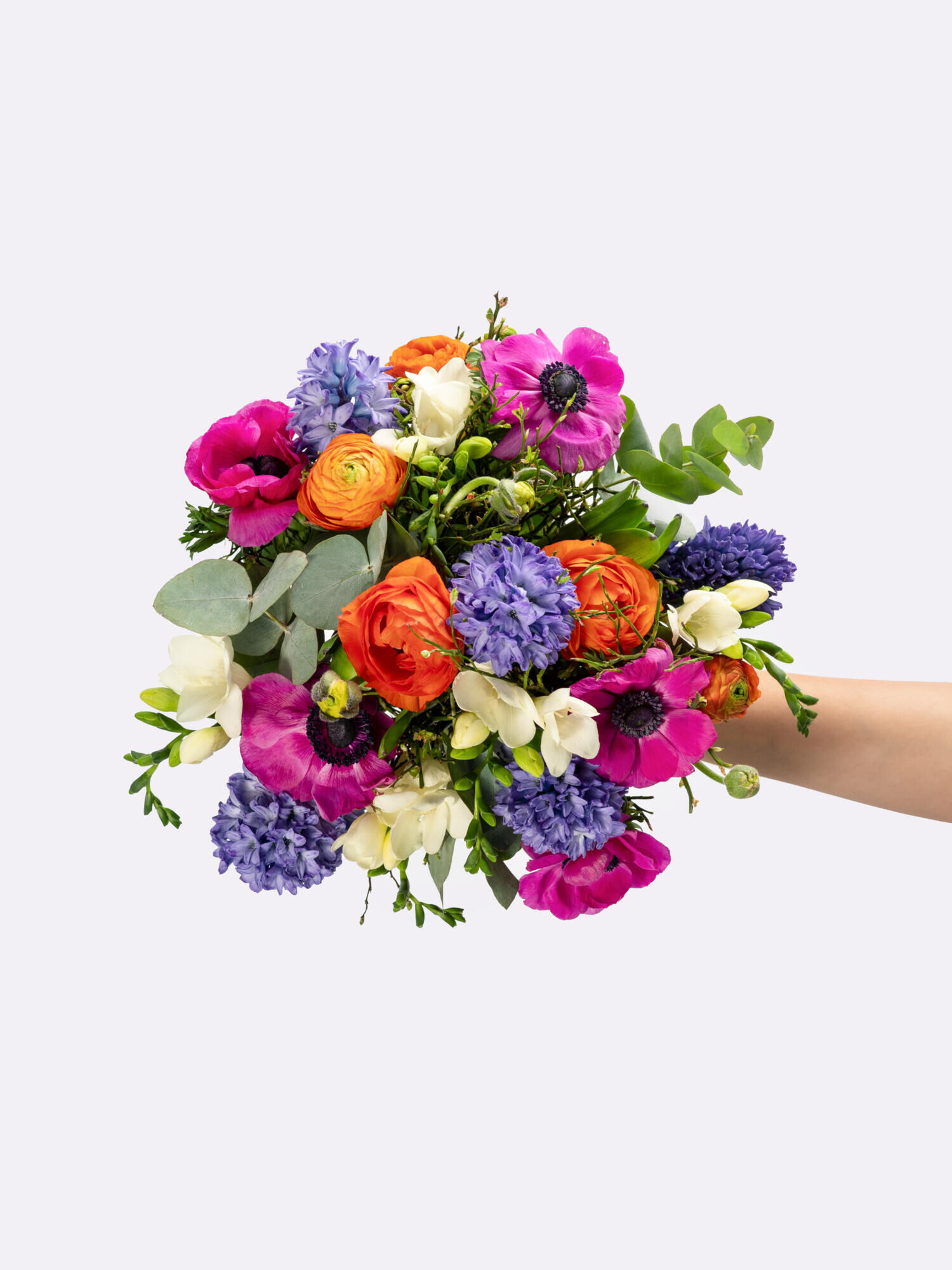 Spring Awakening - Main Colors: VARICOLORED - Main Flowers: FREESIA, HYACINTHS, RANUNCULI