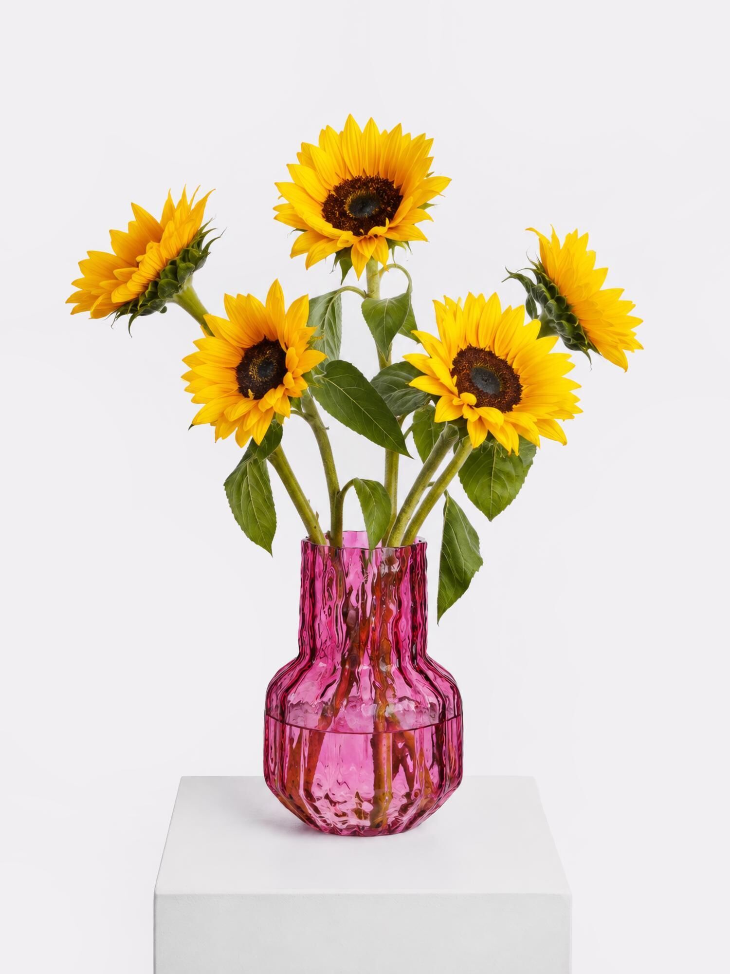 Sunflowers with Vase - Main Colors: YELLOW - Main Flowers: SUNFLOWERS